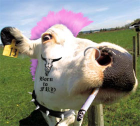 moopunk
